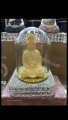 Nước hoa xe hơi cao cấp, nhiều mẫu đẹp 2015